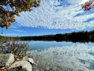 Walden-Pond