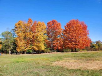 Minute-Man-National-Historical-Park,-along-Lexington-Road.jpg