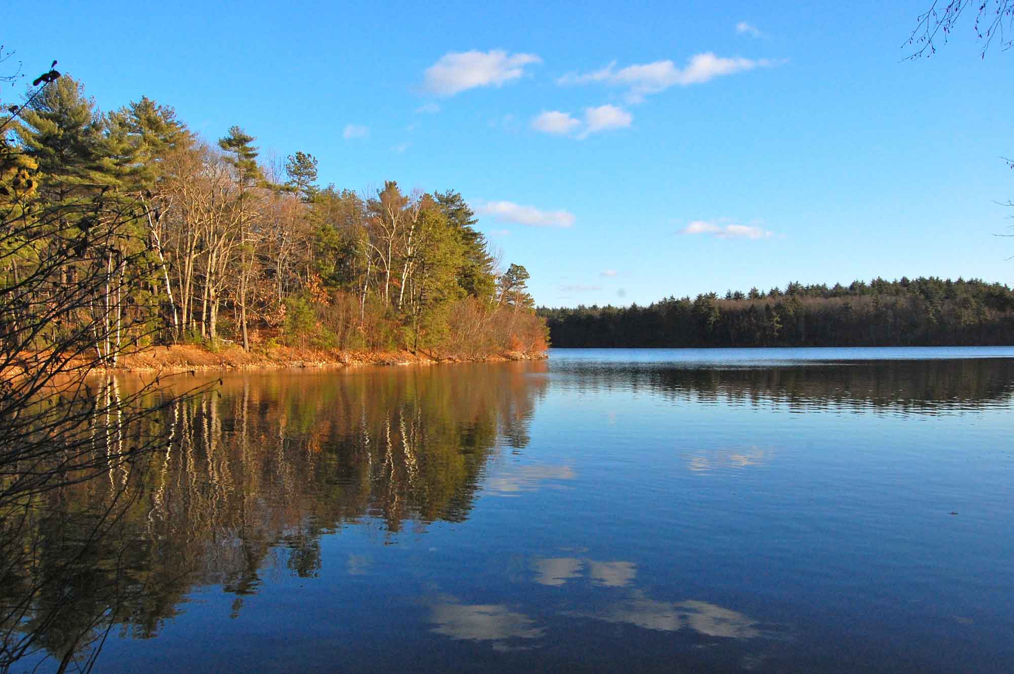 Walden pond summer wikimedia commons