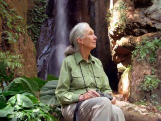 Jane-Goodall.jpg