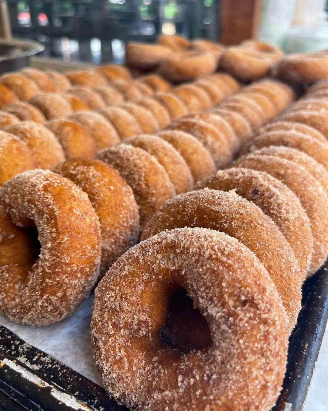 Wilsonfarmciderdonuts