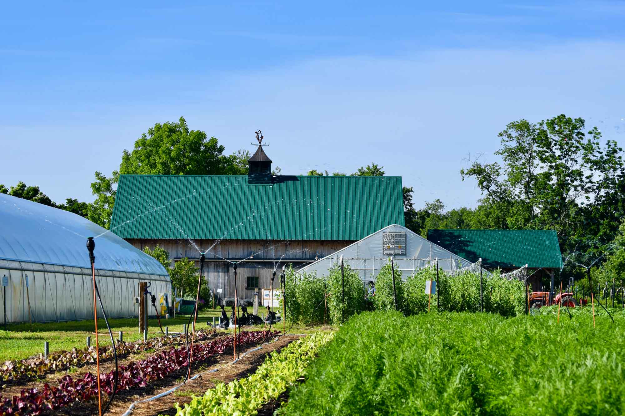 Hoop-houses-and-the-barn.jpg