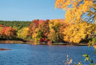 Warner-Pond-in-fall.jpg