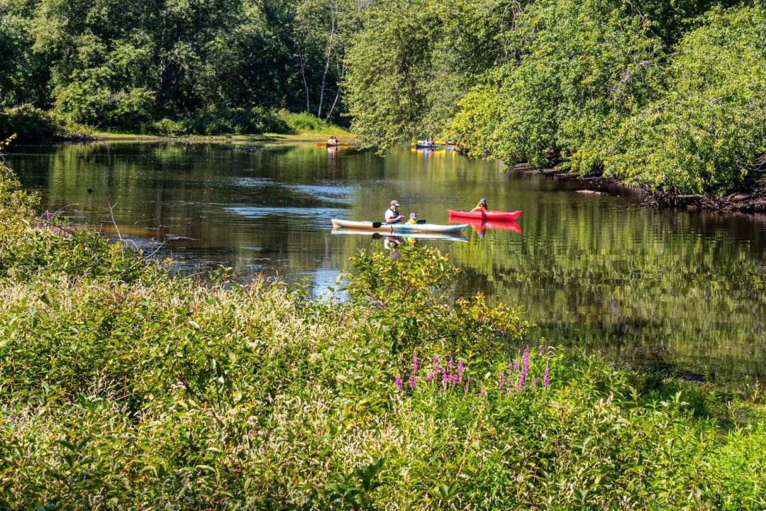 Kayaking-on-Concord.jpg