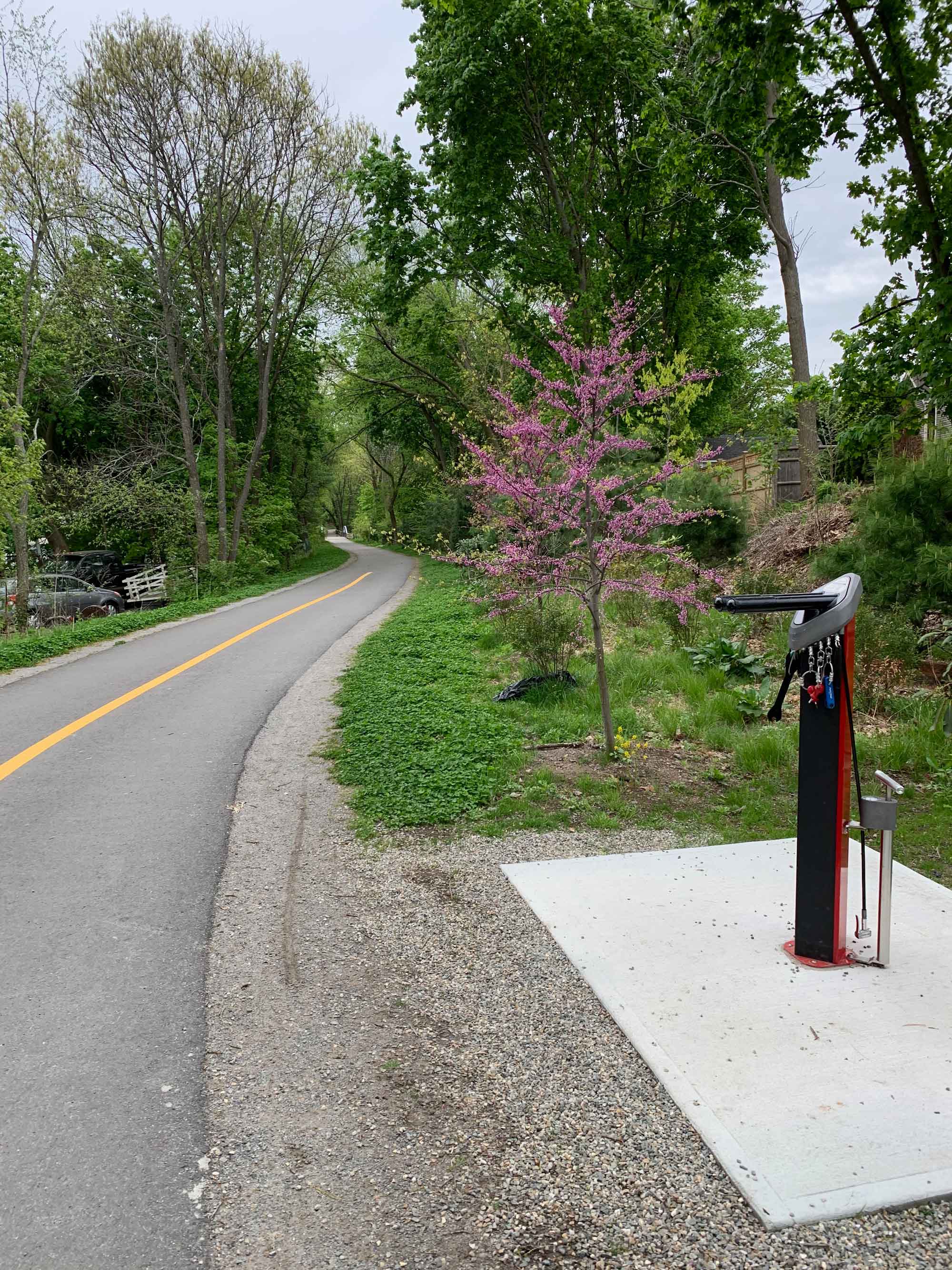 Bicycle-Repair-Station-near-Route-62-crossing.jpg