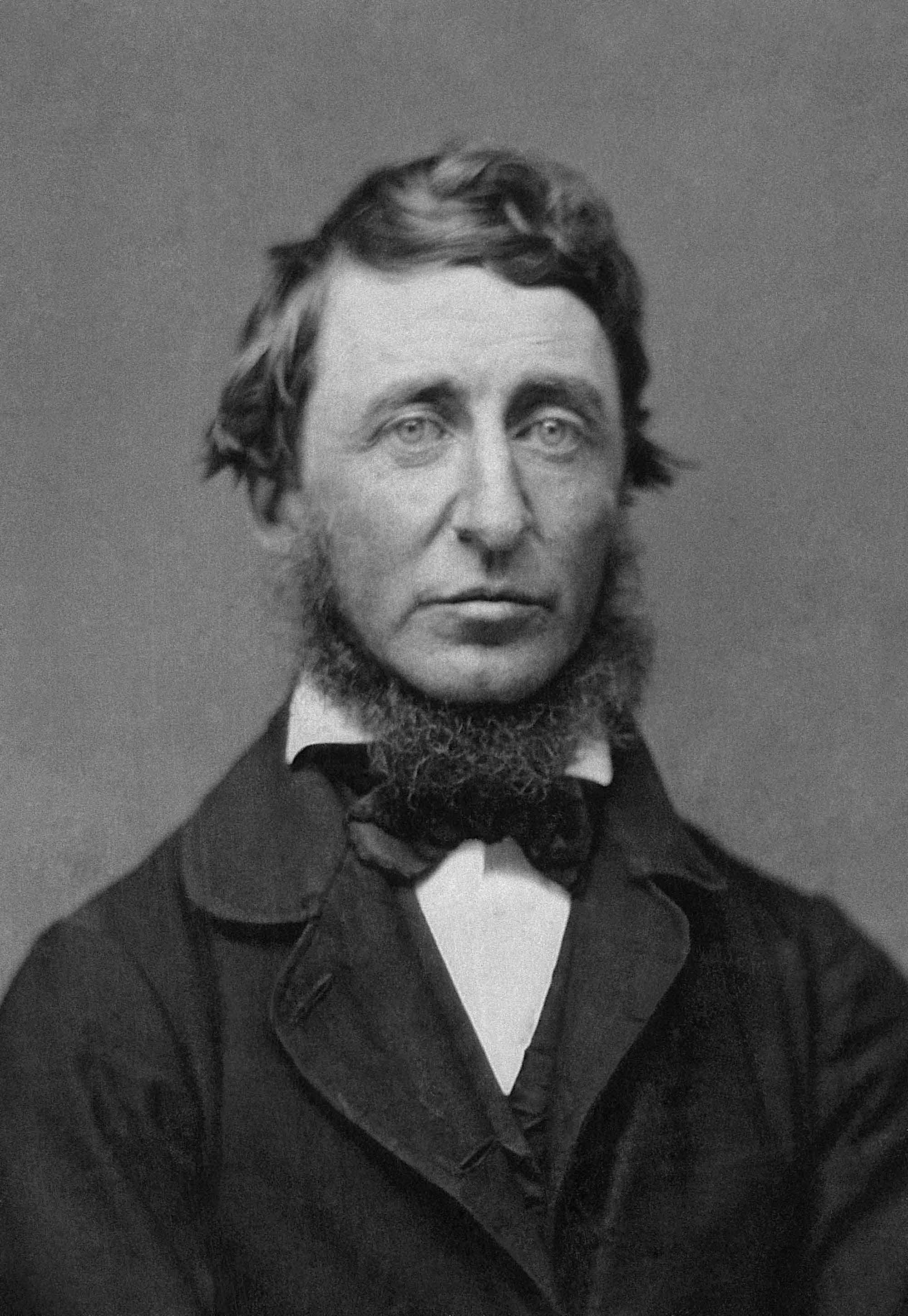 Henry-David-Thoreau-public-domain.jpg