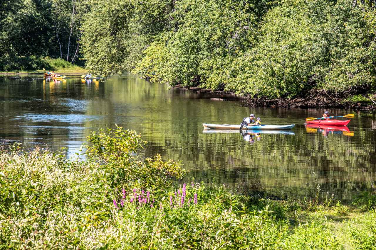 Kayak-family-&-more.jpg