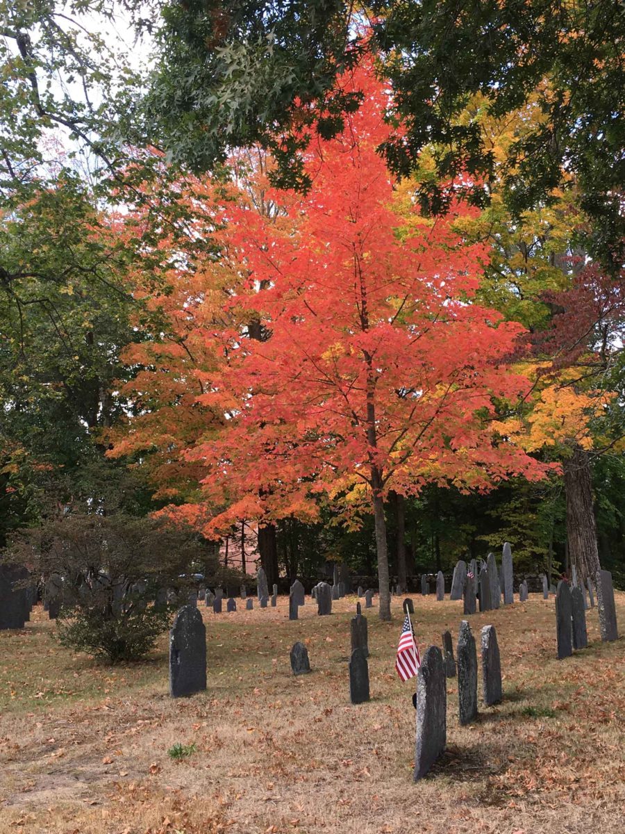 South-Burying-Ground-in-Fall.jpg