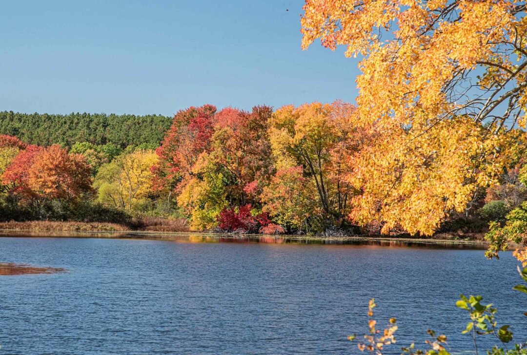 Warner-Pond.-Photo-taken-from-the-Gerow-Recreation-Center.jpg