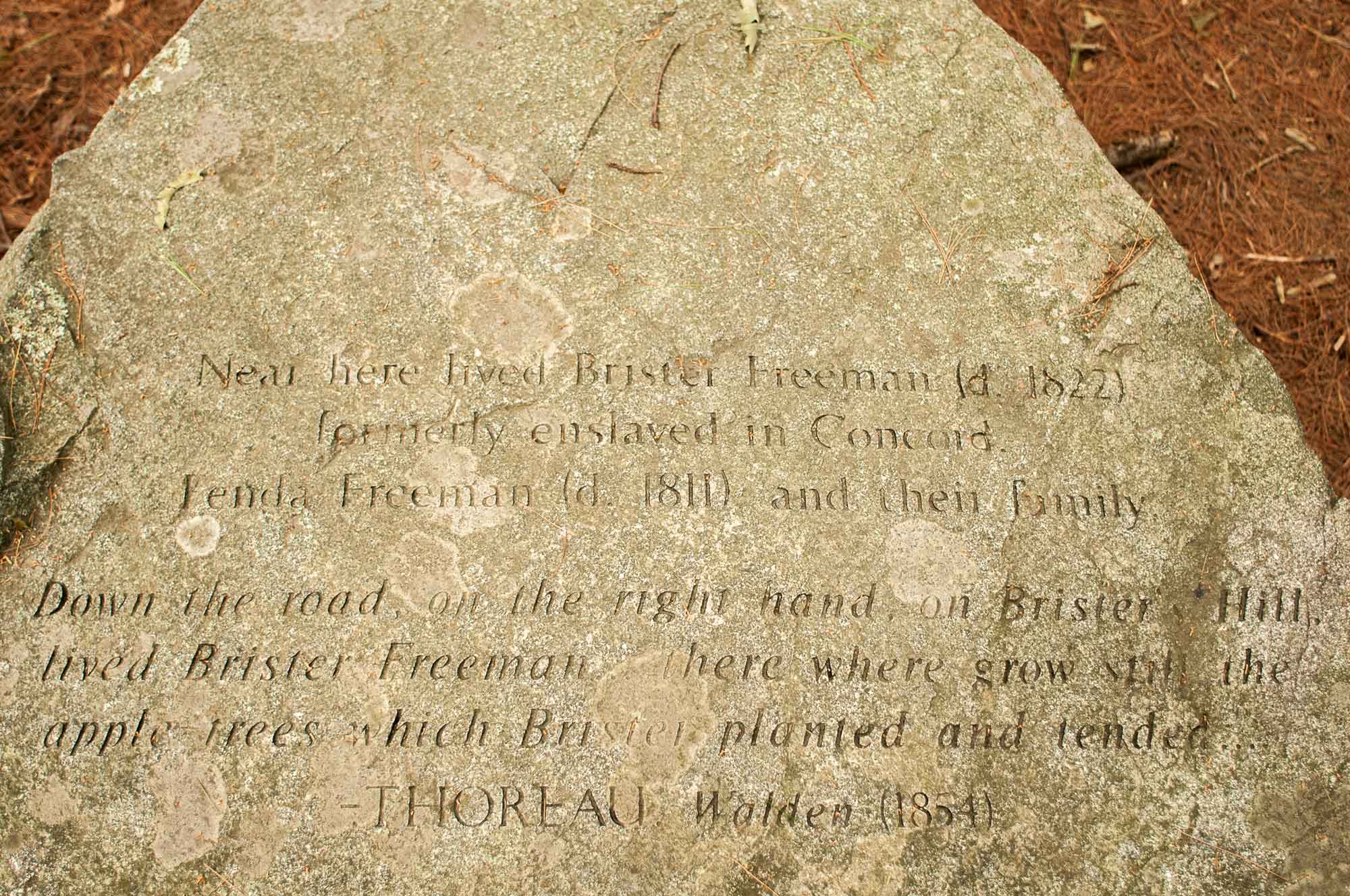 Brister-Freeman---Codman-Estate--Concord-Marker-1331.jpg