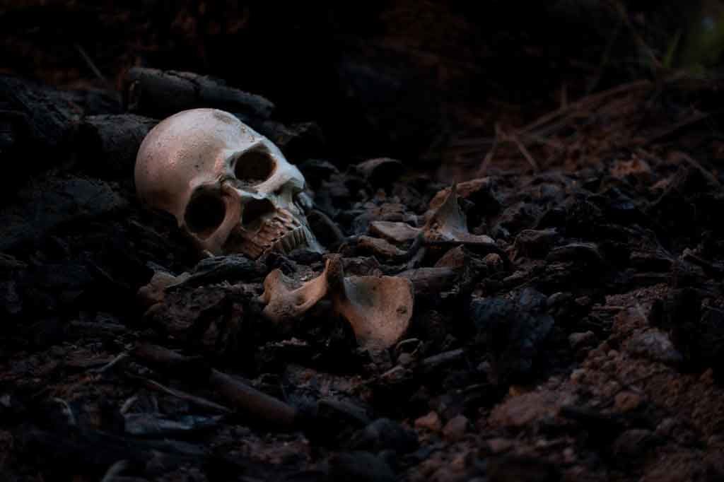 Skull-in-dirt-istock-image-by-Nirut-Punshiri-ID-1057365412.jpg