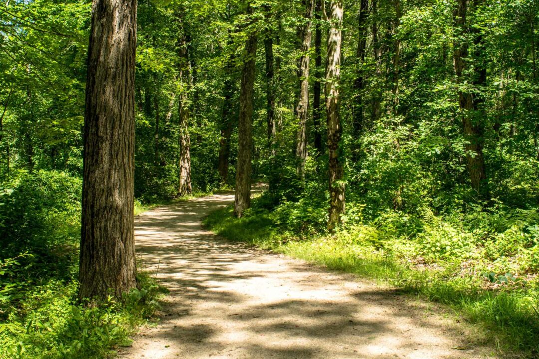 Ground-footpath-nature-trail-in-Minute-Man-National-Historic-Park.jpg