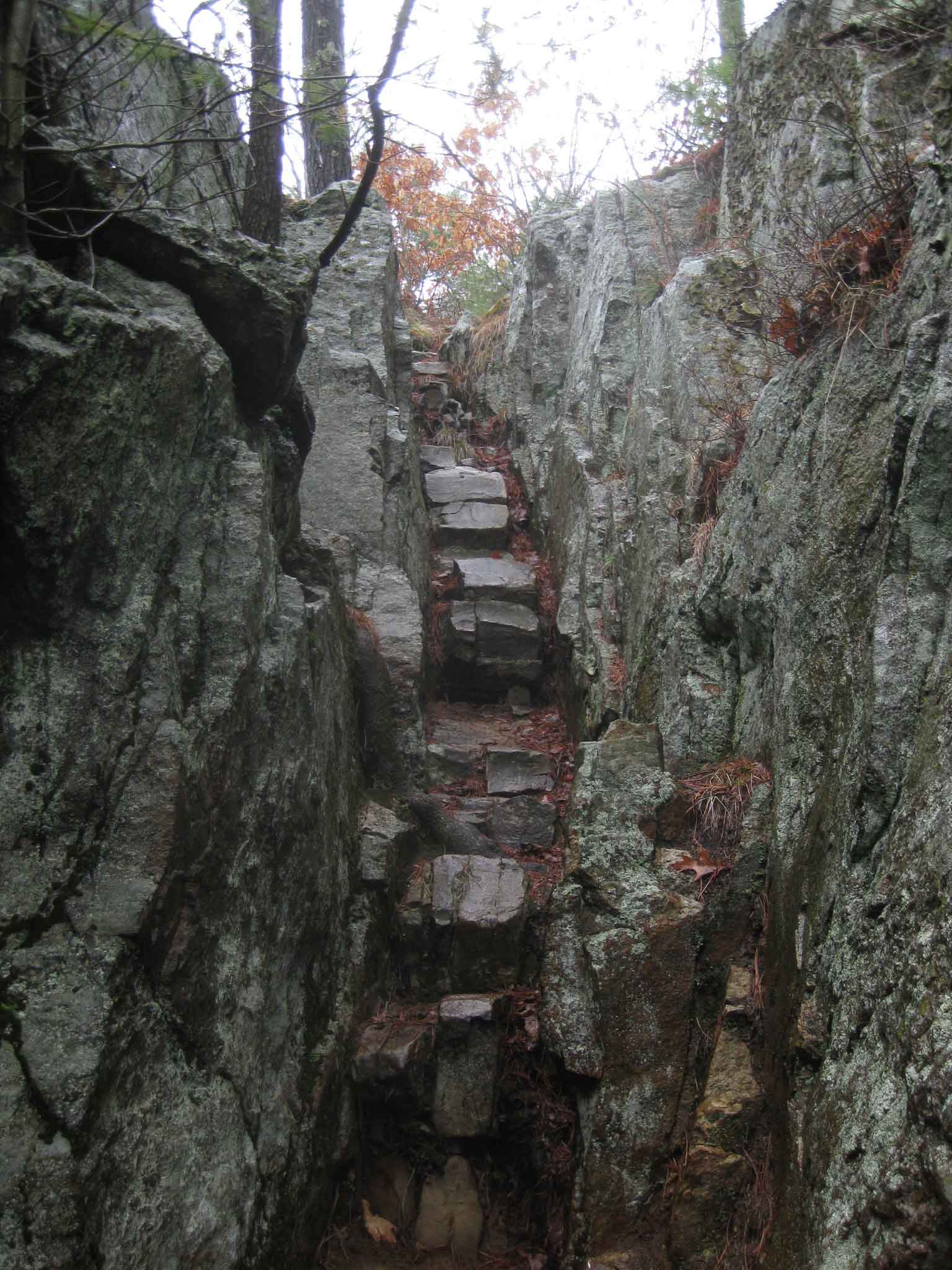 FairHavenCliff-rocky-gorge-Steve-Tobin-March2020.jpg