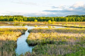 Great-Meadows-HD.jpg