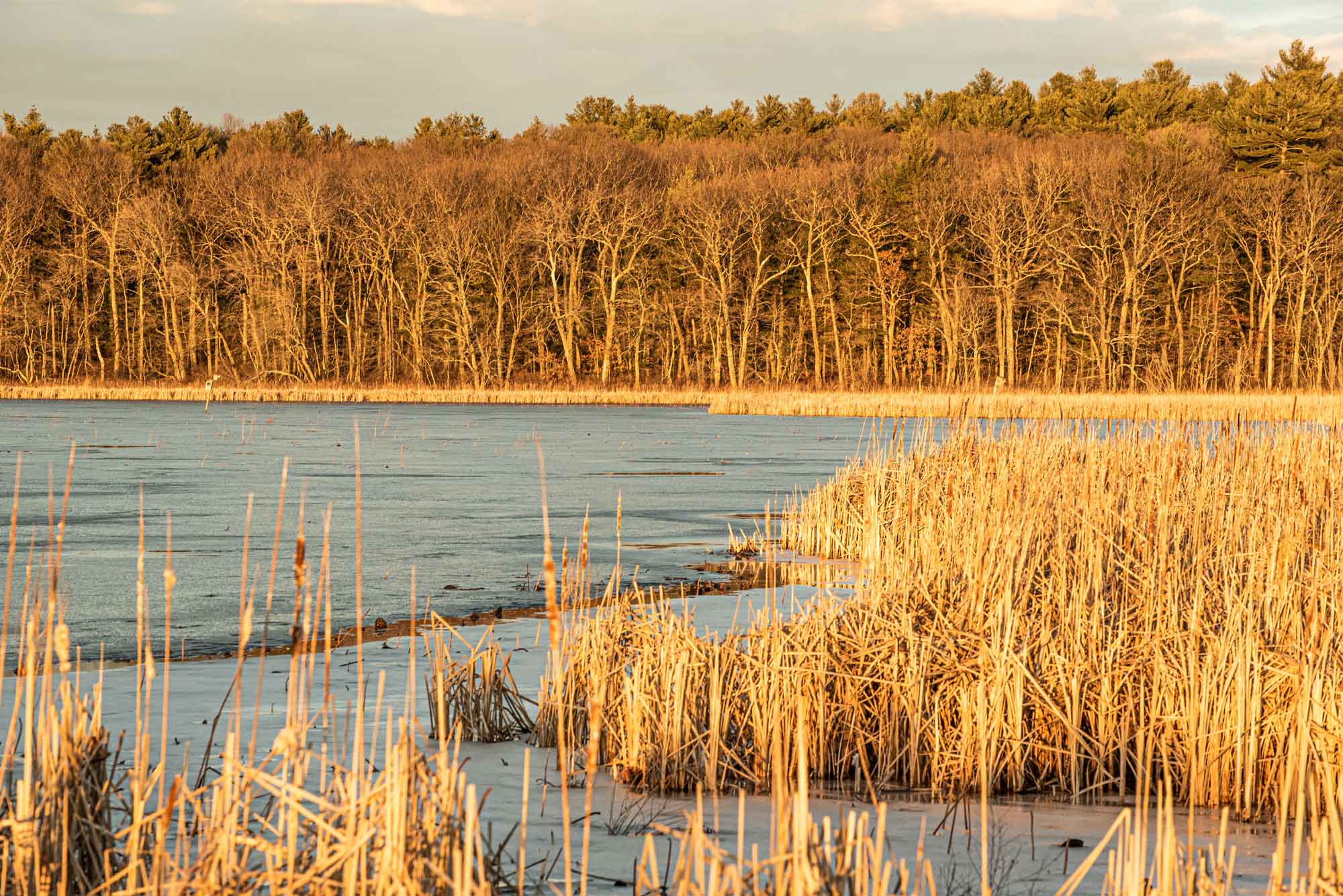 Great-Meadows-winter-light.jpg