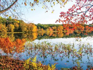 Fairhaven-Bay-in-Fall.jpg