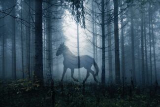 Ghost-Horse-Image.jpg