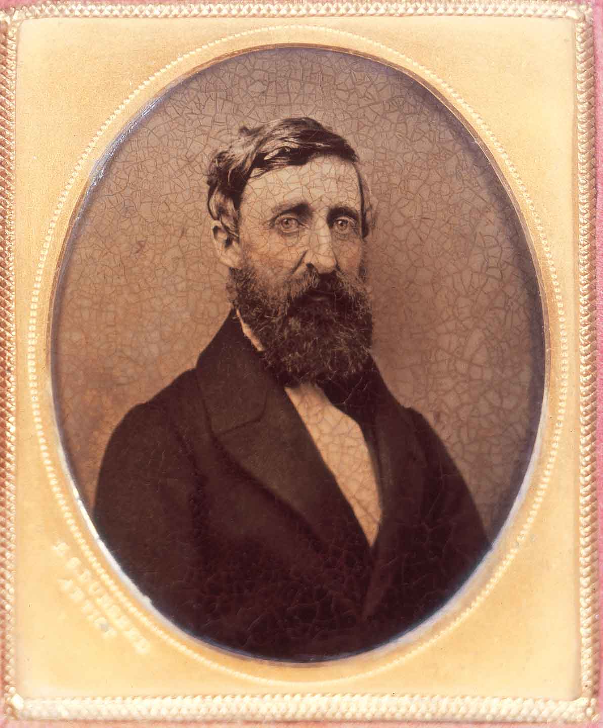 Thoreau-image-1.jpg