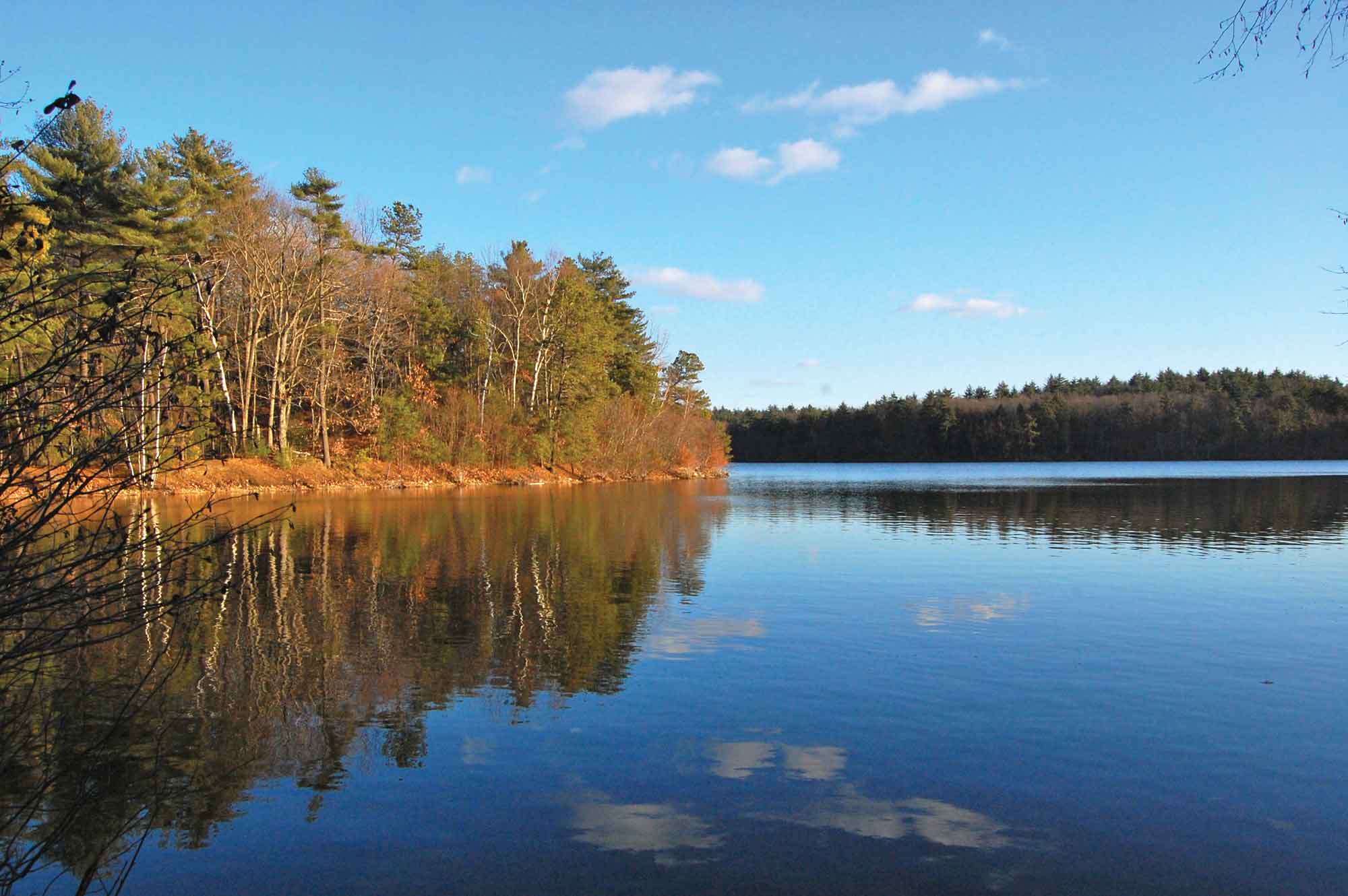 Walden_Pond,_SUMMER-2019-Photo.jpg