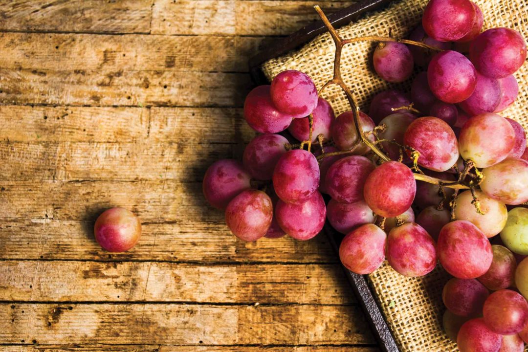 concord-grapes-istock.jpg