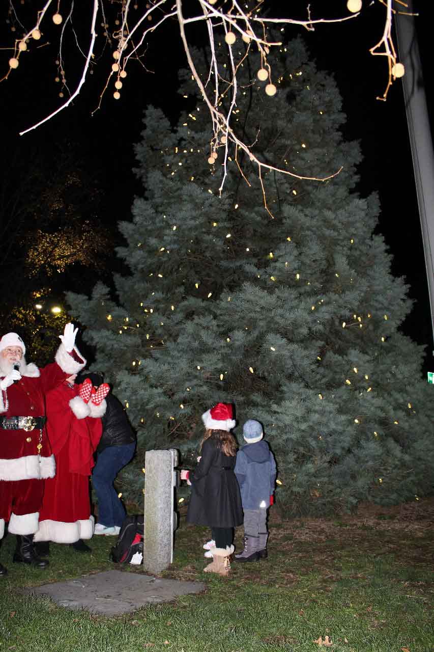 Tree-Lighting.jpg