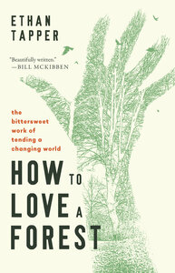 What Does It Mean to Love a Forest?: Ethan Tapper in conversation with Brian Donahue